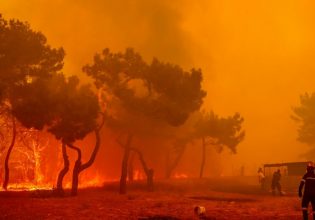 Πυρκαγιές: Στο έλεος της φωτιάς τα Βατερά στη Λέσβο και η Δαδιά στον Έβρο