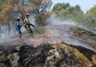Έβρος: Τρίτη ημέρα μάχης με τις φλόγες στη Δαδιά