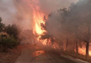Φωτιά: Σπίτια στα δάση με πισίνες δεν έχουν πυροσβεστική αντλία – Απίστευτη μαρτυρία δασοπυροσβέστη