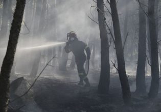 Φωτιά στην Άμφισσα: Νύχτα αγωνίας και τρόμου – Μάχη για να σωθούν περιουσίες