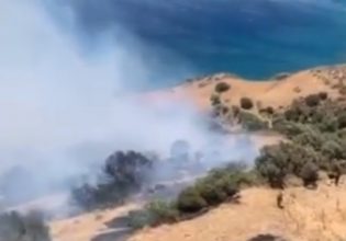 Φωτιά στο Ρέθυμνο: Επιχειρούν δύο ελικόπτερα