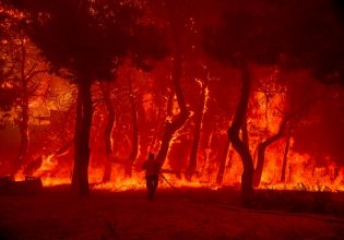 Φωτιά στη Λέσβο: «Στα Βατερά γίνονται αποκαΐδια τα επιχειρήματα της κυβέρνησης», δηλώνει βουλευτής του ΚΚΕ