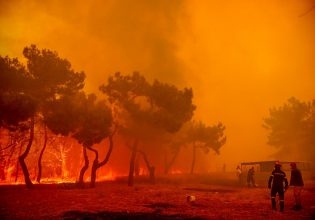 Λέσβος: Δραματικές στιγμές – Εικόνες Αποκάλυψης από τη μεγάλη φωτιά