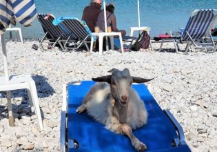 Σύμη: Η φωτογραφία που «σαρώνει» στο διαδίκτυο