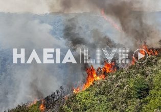 Φωτιά στην Ηλεία: Τραυματίστηκε πυροσβέστης – Ενισχύονται οι δυνάμεις