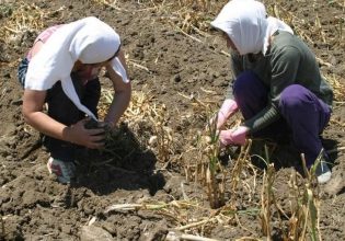 Εργάτες γης: Τι προβλέπει ρύθμιση για την απασχόληση στην αγροτική οικονομία