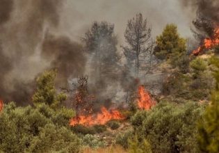 Φωτιά σε αγροτική έκταση στη Φωκίδα – Στη μάχη επίγειες και εναέριες δυνάμεις