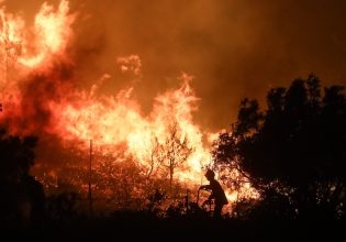 Φωτιά στα Μέγαρα: Συναγερμός στην πυροσβεστική – Αναζωπύρωση εστίας στη Λούμπα