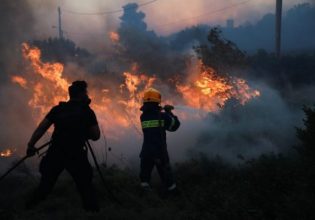 Πυροσβεστική: 141 πυρκαγιές σε ένα τριήμερο