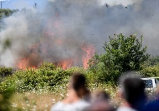 Φωτιές: Ανοιχτά μέτωπα σε Λακωνία, Σάμο και Άρτα