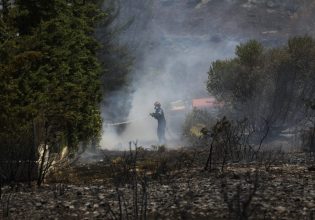 Έβρος: Καίγεται για έβδομη ημέρα το δάσος της Δαδιάς