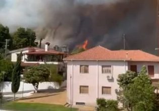 Φωτιά στην Ηλεία: Ανεξέλεγκτο το πύρινο μέτωπο – Απειλούνται σπίτια