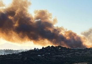 Φωτιά: Μεγάλη πυρκαγιά στο Κρανίδι Αργολίδας