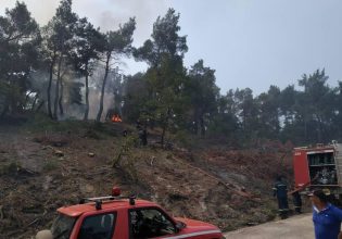 Φωτιά στον Έβρο: Νέα αναζωπύρωση στα βόρεια της Δαδιάς – Ηρωική μάχη δίνουν οι πυροσβέστες