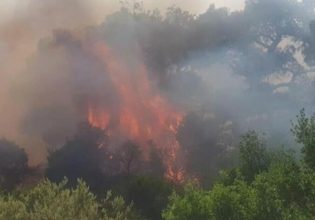 Φωτιά στο Σουφλί Έβρου: Πολύ δύσκολη η κατάσταση στο δάσος Δαδιάς – Κατευθύνεται προς Λευκίμη