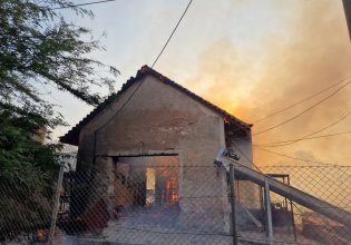 SOS από τον Λέκκα για την φωτιά στην Πεντέλη: Έχουν δημιουργηθεί εκατοντάδες μικροεστίες