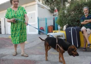 Ζευγάρι διανυκτέρευσε στο λιμάνι του Πειραιά επειδή είχε σκύλο και κανένα ξενοδοχείο δεν τους ήθελε