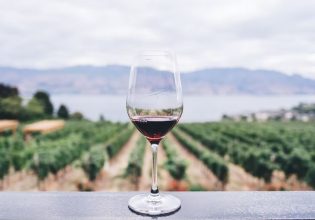 Κλιματική αλλαγή: Αντίο Pinot Noir και Chardonnay;