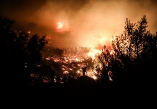 Πυρκαγιές: Πάνω από 130.000 στρέμματα δασικής έκτασης κάηκαν τον Ιούλιο