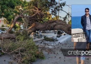 Κρήτη: Το βίντεο ντοκουμέντο με την πτώση του δέντρου που σκότωσε τον 51χρονο