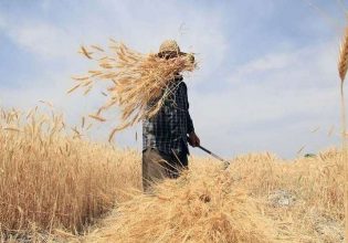 Νέοι αγρότες: Εκτός προγράμματος παραμένουν 350 υποψήφιοι της Πελοποννήσου