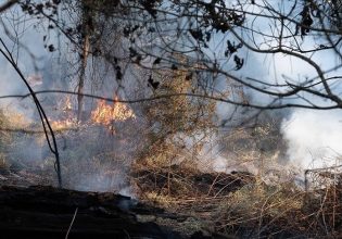 Γαλλία: Μαίνονται οι πυρκαγιές – Στάχτη 60.000 στρέμματα