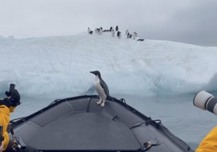 Ανταρκτική: Πιγκουίνος πήδηξε μέσα σε βάρκα για να γλιτώσει από φώκια, οι άνθρωποι τον βοήθησαν