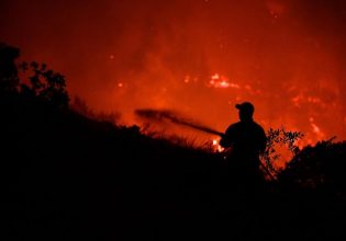 Πυρκαγιά στην Αμαλιάδα: Καίγονται δασικές και γεωργικές εκτάσεις