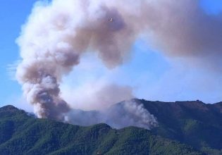 Θάσος: Υπό πλήρη έλεγχο η φωτιά – Σε επιφυλακή για αναζωπυρώσεις