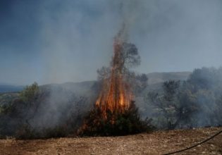 Φωτιά σε δασική περιοχή στα Κύθηρα – Επιχειρούν και εναέρια μέσα