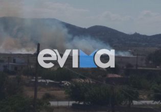 Εύβοια: Φωτιά στα Κριεζά κοντά σε σπίτια