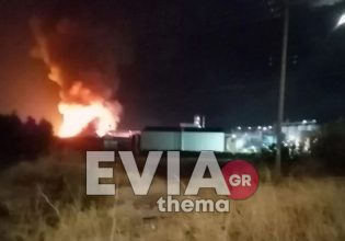 Εύβοια: Μεγάλη φωτιά σε εργοστάσιο στα Ψαχνά