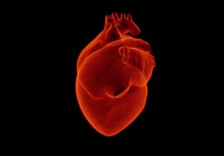 Χωρίς πρωτογενή πρόληψη στα καρδιακά νοσήματα η Ελλάδα