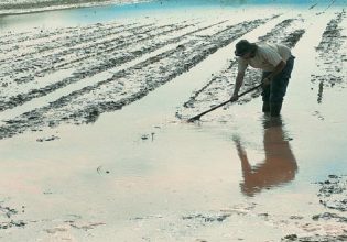 Ενισχύσεις: Προκαταβολή για ζημιές και στους μη κατά κύριο επάγγελμα αγρότες