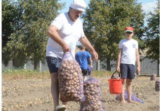 Λευκορωσία: Ο πρόεδρος Λουκασένκο θέλει να κινητοποιηθούν μαθητές για τη συγκομιδή της πατάτας