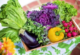 Φρούτα – λαχανικά: Ποια τουρκικά προϊόντα εντοπίστηκαν με φυτοφάρμακα