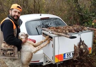 Κυνηγός πυροβολήθηκε κατά λάθος από τον ίδιο του τον σκύλο