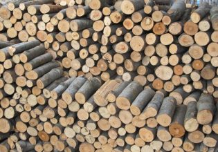 Ακρίβεια: Απαγορεύεται η εξαγωγή ξυλείας από την Ελλάδα έως την 1 Μαρτίου 2023