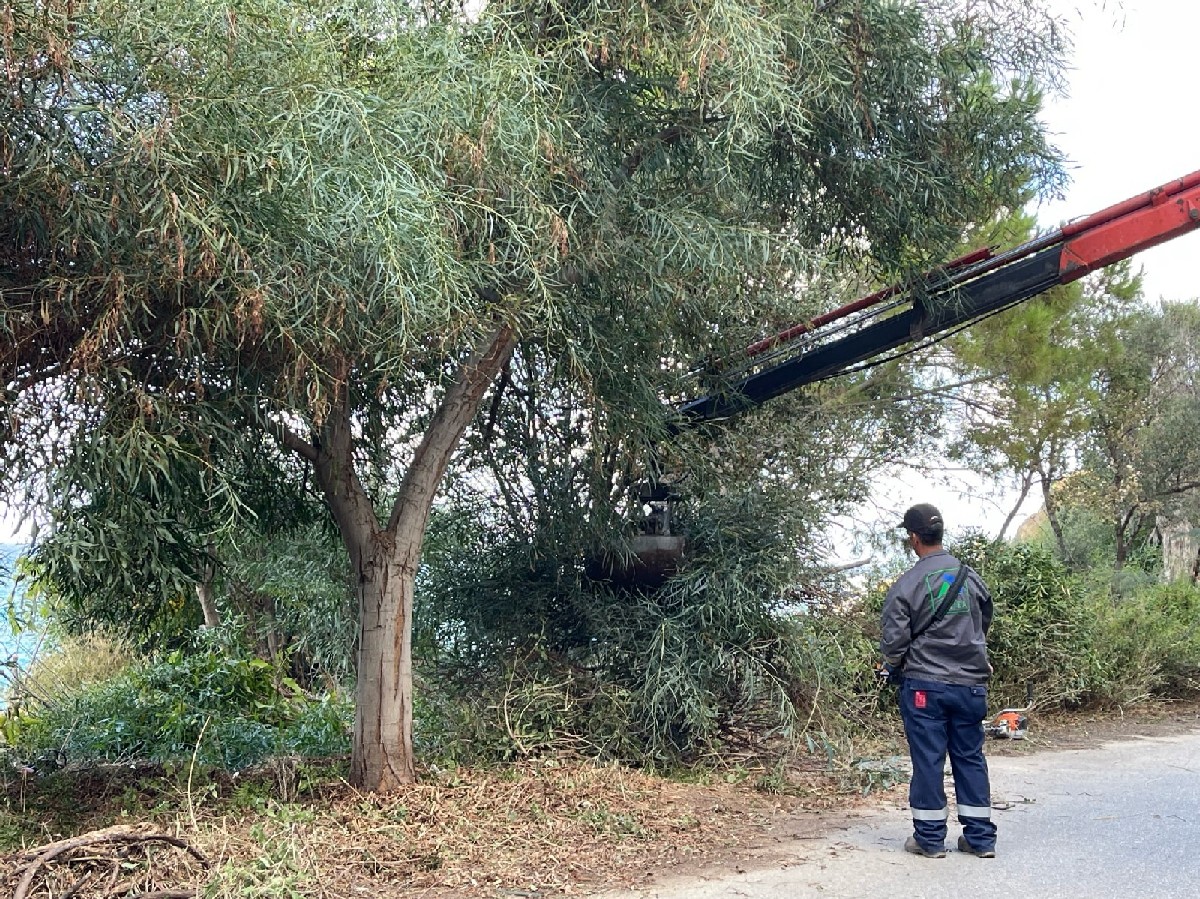 Είχαν μετατρέψει μια ολόκληρη περιοχή του Δήμου Χανίων σε σκουπιδότοπο