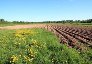 ΟΠΕΚΕΠΕ: Πώς θα αποδειχτεί η κατοχή νόμιμων αγροτεμαχίων