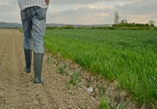 Αν. Μακεδονία-Θράκη: Ποιοι εντάσσονται στους νέους αγρότες