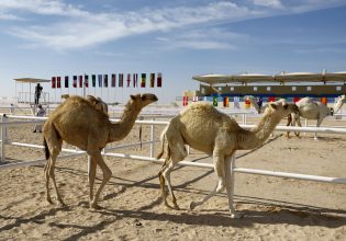 MERS: Δεν υπάρχει λόγος ανησυχίας για το Μουντιάλ, λένε έλληνες ειδικοί