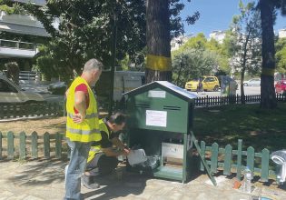 Δήμος Π. Φαλήρου: Έγκριση χρηματοδότησης για τα αδέσποτα ζώα