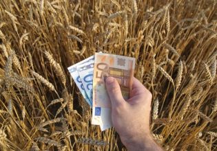 De minimis: Πήραν ΦΕΚ οι ενισχύσεις σε κάστανα και ελιά – Τα ποσά