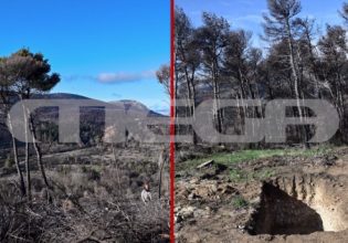 Πώς το Τατόι άλλαξε όψη μέσα σε δύο μέρες – Αποκαλυπτικές εικόνες από drone