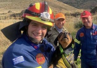 Χίος: Πυροσβέστες διέσωσαν σκυλίτσα από πηγάδι
