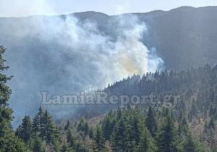 Λαμία: Φωτιά στο δάσος Τυμφρηστού