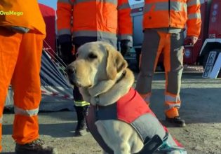 Σεισμός στην Τουρκία: Πώς η Sugar η σκυλίτσα των ελλήνων εθελοντών διασωστών έσωσε εγκλωβισμένο