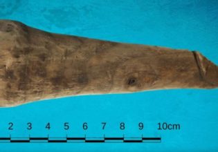 Βρετανία: Οι αρχαιολόγοι πίστευαν ότι είναι εργαλείο και αποδείχθηκε τελικά δονητής