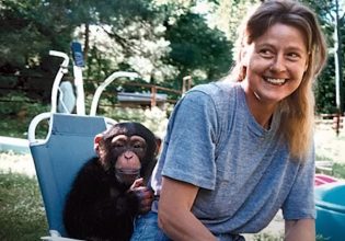H ανατριχιαστική ιστορία του Τράβις, του χιμπατζή, που άφησε μια γυναίκα χωρίς πρόσωπο